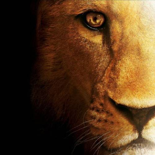 محمد تباری زمونه